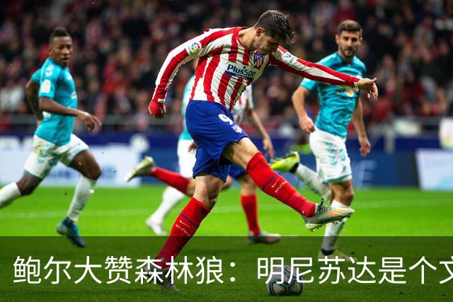 鲍尔大赞森林狼：明尼苏达是个文化宝库！