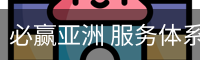 必赢亚洲 服务体系 - 安全登录入口